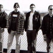 Fang - List pictures