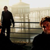 Doves - List pictures