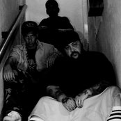 Ugly Duckling - List pictures