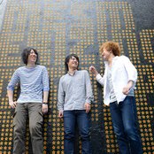 Lily - List pictures