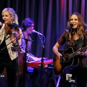 Court Yard Hounds - List pictures