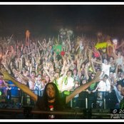 Bassnectar - List pictures