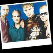 Neljä Ruusua - List pictures