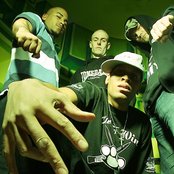 Knuckledust - List pictures