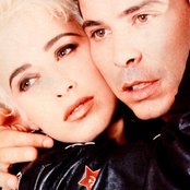 Dollar - List pictures