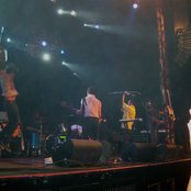 Fang Island - List pictures