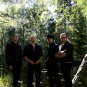 Viikate - List pictures