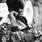 Rye Rye - List pictures