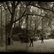 Daylight Dies - List pictures