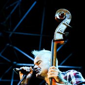 Red Snapper - List pictures