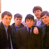 The Animals - List pictures
