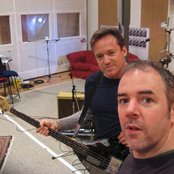 Wrens - List pictures