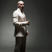 Pitbull - List pictures