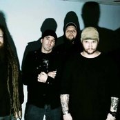 Flaw - List pictures