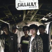 Callalily - List pictures