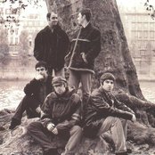 Oasis - List pictures
