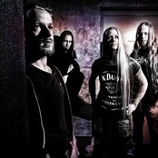 Izegrim - List pictures