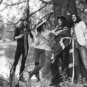 The Pink Fairies - List pictures