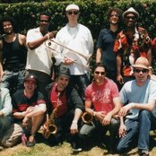 The Lions - List pictures