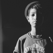 Willow - List pictures