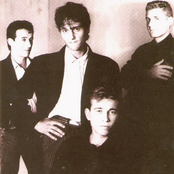 Nacha Pop - List pictures