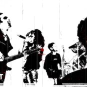 Split - List pictures