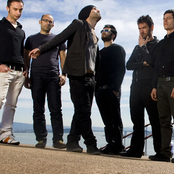 Negramaro - List pictures