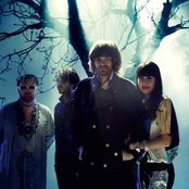 Guillemots - List pictures