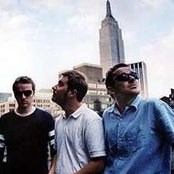 Doves - List pictures