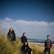 Cormorant - List pictures