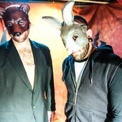 The Bunny The Bear - List pictures