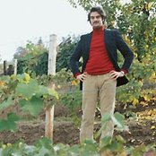 Daniele Luppi - List pictures