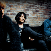 Does - List pictures