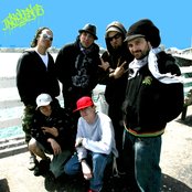 Insolence - List pictures