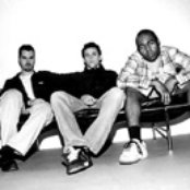 Orange 9mm - List pictures