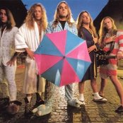 Scatterbrain - List pictures