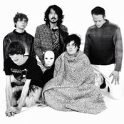 Deerhunter - List pictures