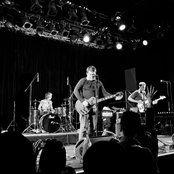 Lion In The Mane - List pictures