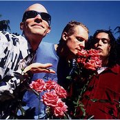 Presidents Of The Usa - List pictures