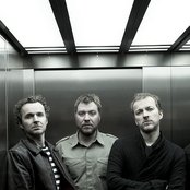 Doves - List pictures