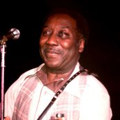 Muddy Waters - List pictures
