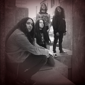 Havok - List pictures