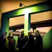 Green Carnation - List pictures