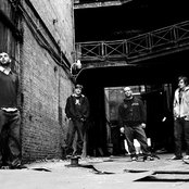 Birdy Nam Nam - List pictures