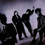 Caifanes - List pictures
