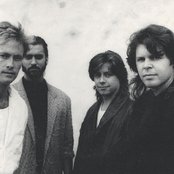 Mr. Mister - List pictures