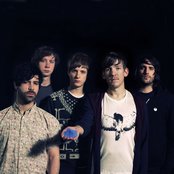 Foals - List pictures