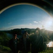 Paws - List pictures