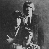 Blues Magoos - List pictures