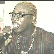 Elephant Man - List pictures